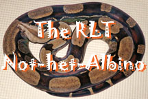 RLT_Not-het-Albino_LinkPic1.jpg