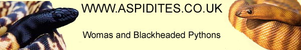 banner-ian1.jpg