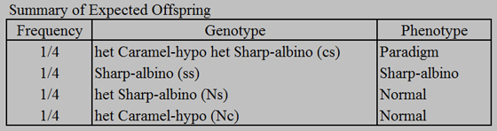 hetsharp-paradigm-offspring-summary.jpg