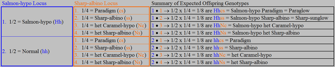 hypohetsharpxparadigm_fulltable1.jpg