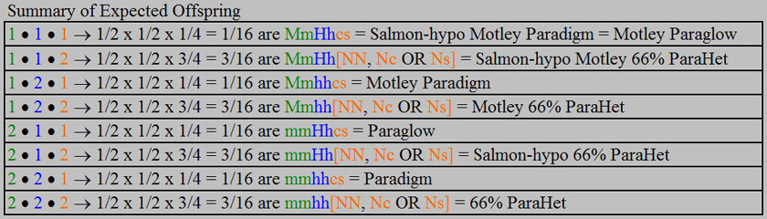 motleyhetsharpxhypohetcaramel_offspring_summary.jpg