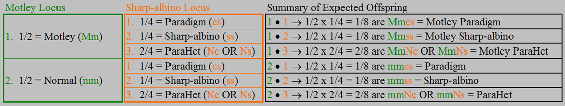 motleyhetsharpxparadigm_fulltable.jpg