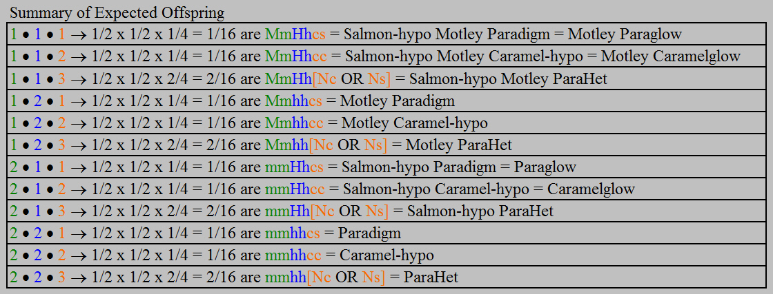 motleyparadigmxhypohetcaramel_offspring_summary.jpg