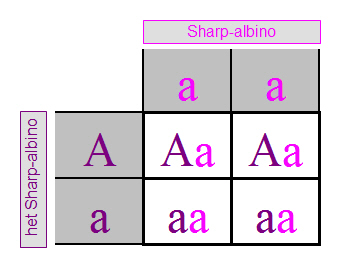 Albinism Chart